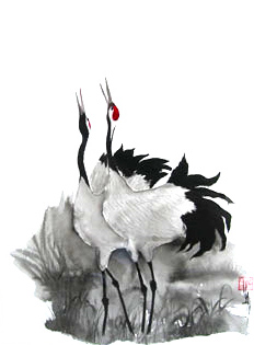 Two Cranes --- Vian Brushart